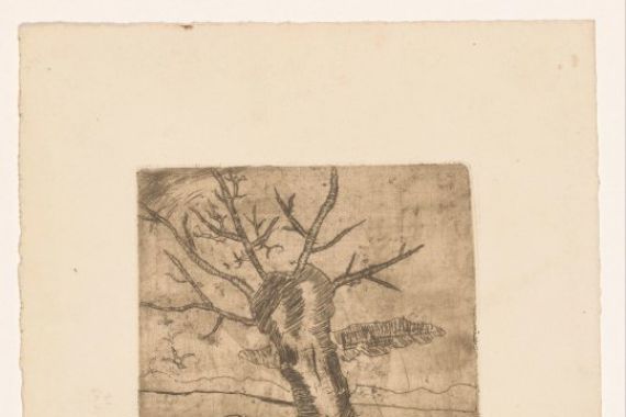 Pally van Schoonhoven