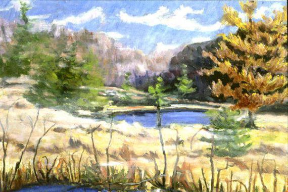 Patricia (Contemporary Artist) Eyre