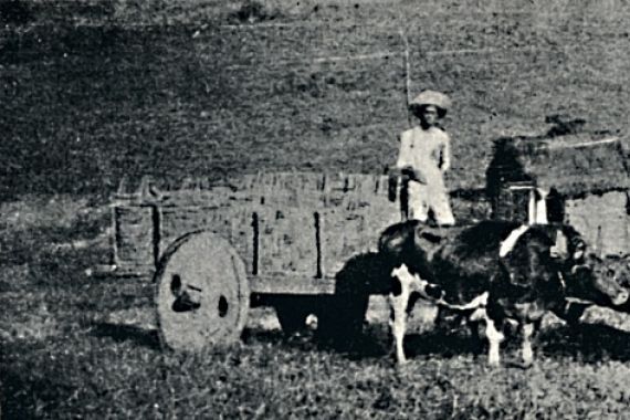 Paulo Sack