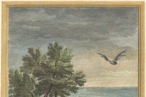 Pierre Philippe Choffard after Jean Baptiste Oudry