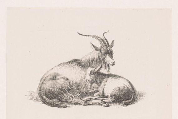 Pieter Bartholomeusz. Barbiers