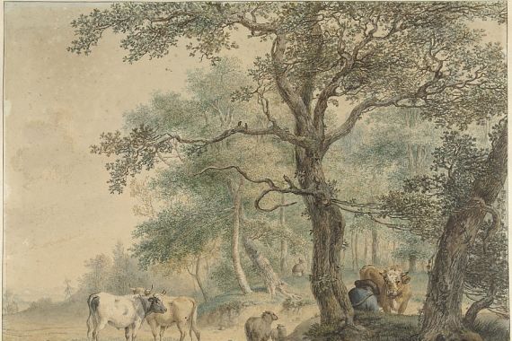 Pieter van Os
