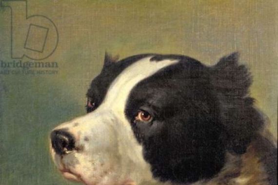 Ranelagh Barret