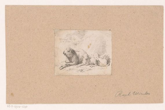 Raphael Winter