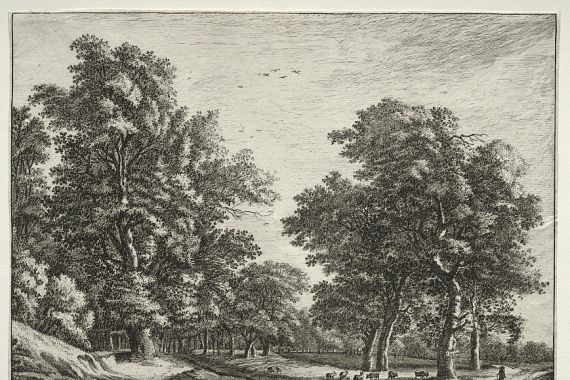 Roelant Roghman