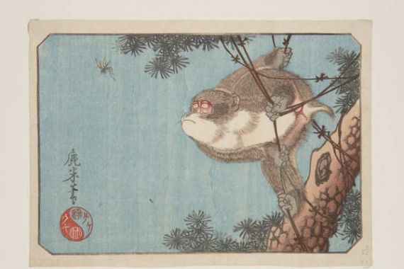 Rokubei Rokubei
