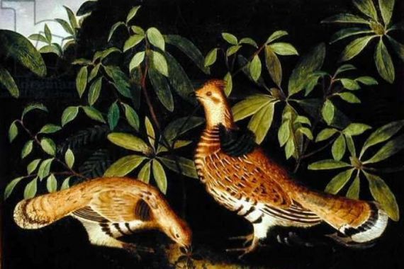 Rubens Peale