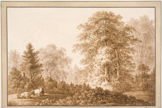 Samuel Mygind