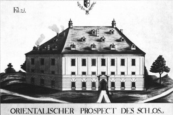 Schnepf