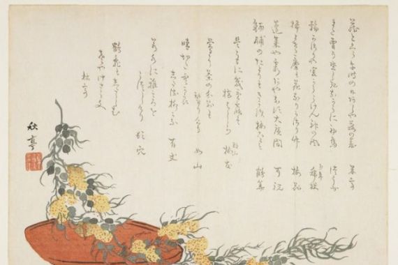 Shûtei Tanaka