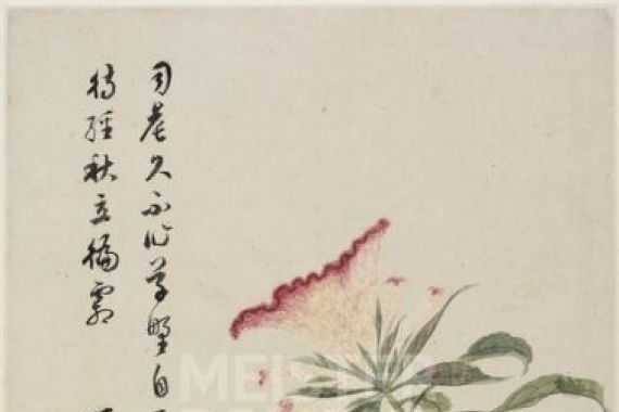 Shengmo Xiang