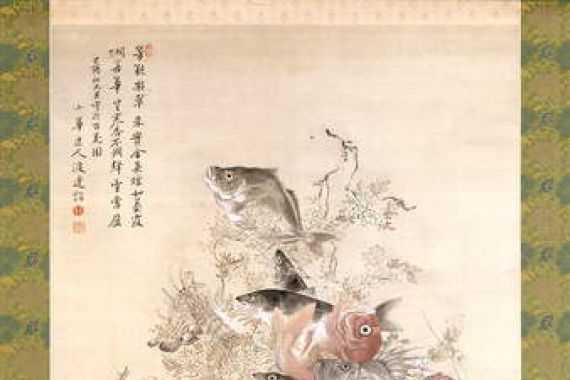 Shoka Watanabe