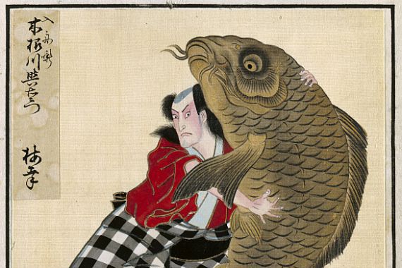 Shorakusai