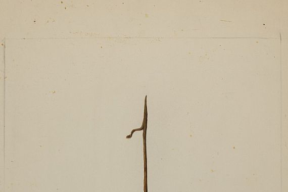 Stella Mosher