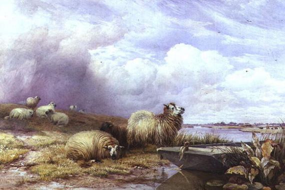 Thomas Francis Wainewright