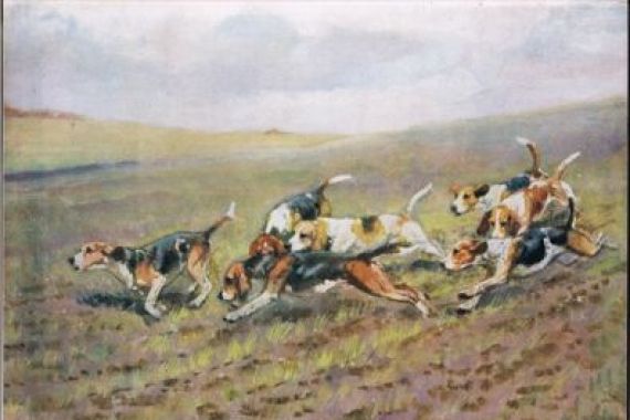 Thomas Ivester Lloyd