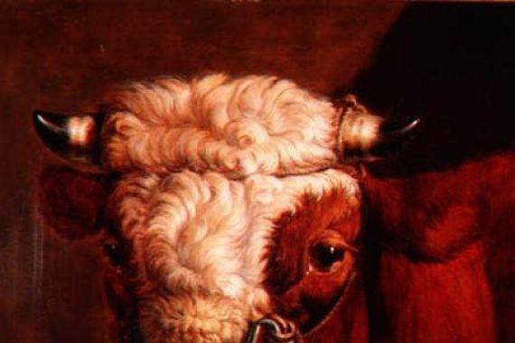 Thomas Sidney (studio of) Cooper