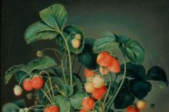 W. Weiss