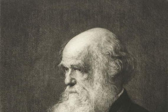 Walter William (after) Ouless