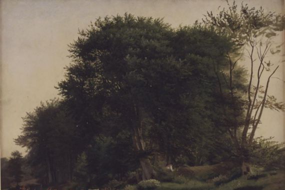 Wilhelm Xylander