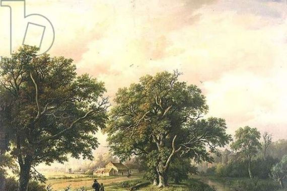Willem Bodeman