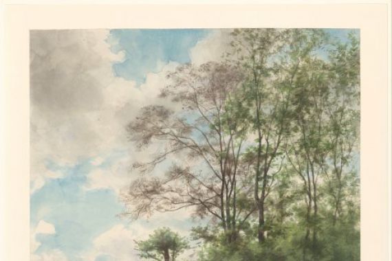 Willem Oppenoorth