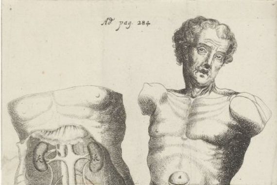 Willem ten Rhijne