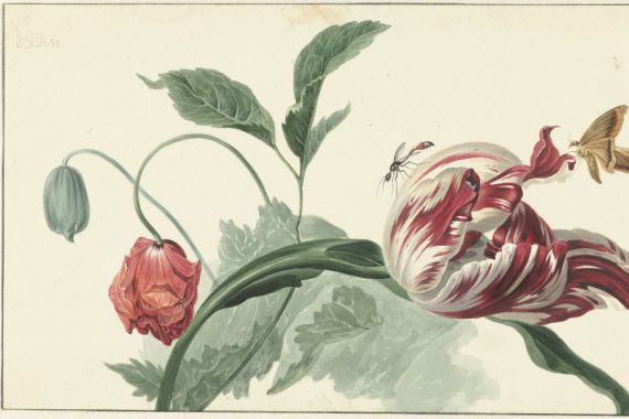 Willem van Leen (attributed to)