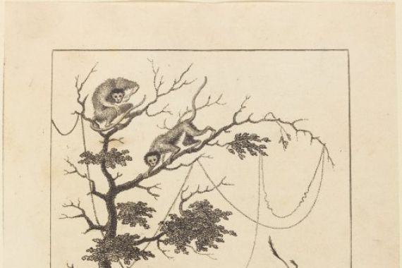William Blake after John Gabriel Stedman