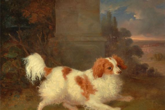 William Webb