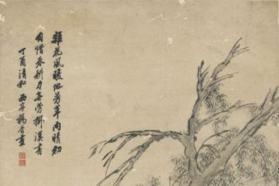 Yang Jin