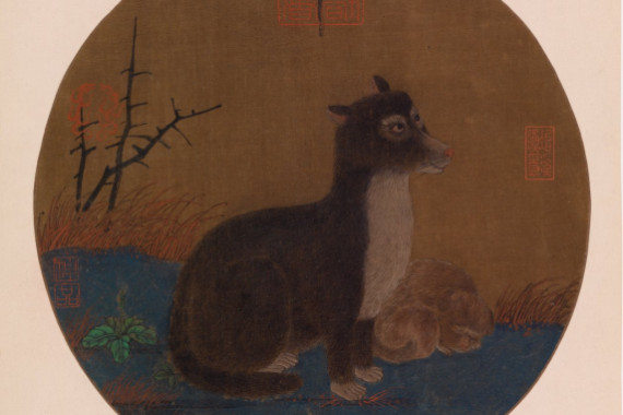 Zhao Ji