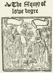 The Square Of Iowa Degree (metszet)