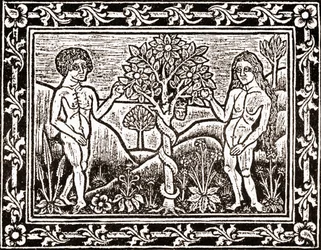 A fa, amelyről Ádám megette az almát, fakszimilie egy meditációs könyvből, az első könyvből, amelyet a languedoci Albiban nyomtattak 1481-ben
