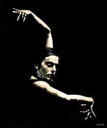 Flamenco fegyverek