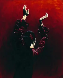 Flamenco tűz