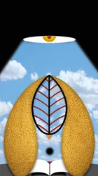 A gondolkodó fény