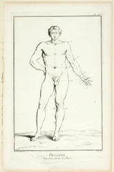 Tervezés: Encyclopédie: A férfi általános arányai, az Encyclopédie-ból.