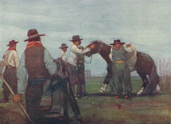 Gauchók egy fiatal lóba törve, 1916