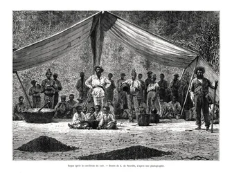 Étkezés a kávézás után, Brazília, 19. század