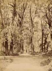Mexikó. Chapultepec liget, Mexikó közelében