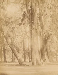 Mexikó. Chapultepec liget, Mexikó közelében