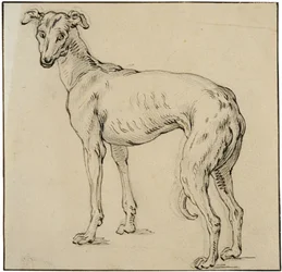 Agár