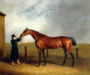 Udny ezredes Bay Colt szarvasgomba a varázslótól, akit egy vőlegény tartott, 1815