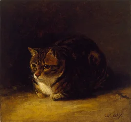 Tanulmány egy macskáról, 1817