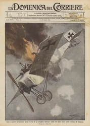 Hogyan büntették meg a légitámadást, a mi tűzünk által eltalált osztrák repülőgép halálát?