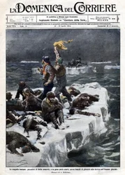 A fókahalászok, akik közül néhányan meghaltak, az óceán sodródó jégen rekedtek. Ill. de Beltrame. „La Domenica del corriere””. 1914.04.12-19.