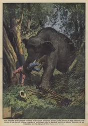 Tragédia az afrikai dzsungelben