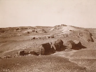 A megkövült erdőben (általános nézet, Middle Park),1895-1897 körül (fénykép)
