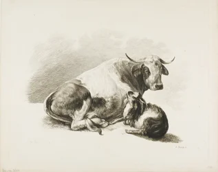 Állati darab